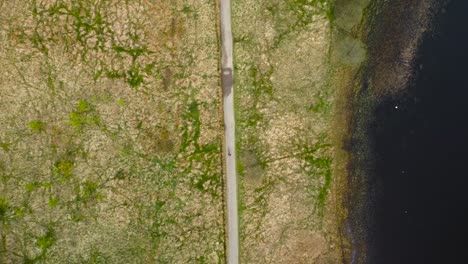 top down aerial drone footage view of a person walking on a desolate rural paved road in scotland british green moss covered nature besides a large lake that is dark colored during beautiful day time.