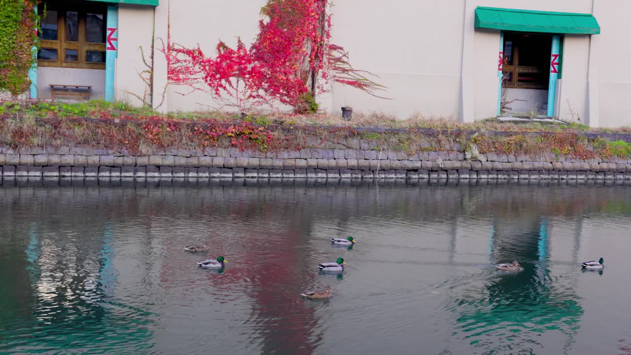 오타루 최고의 뷰