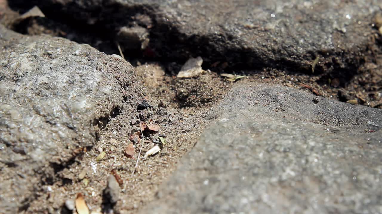 한 남자가 바닥에서 아르헨티나 페소 동전을 들고 있다.