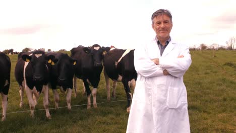 veterinary physician standing with herd of cattles