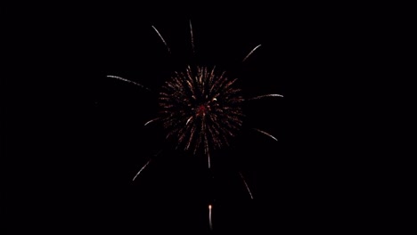 realistic colorful firework isolate on black background for use as overlay.