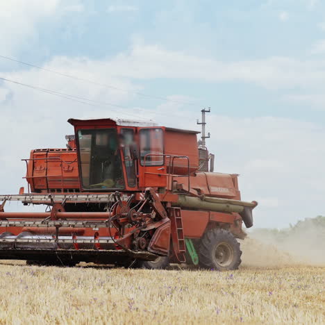 harvest time. combine harvester working in a wheat field