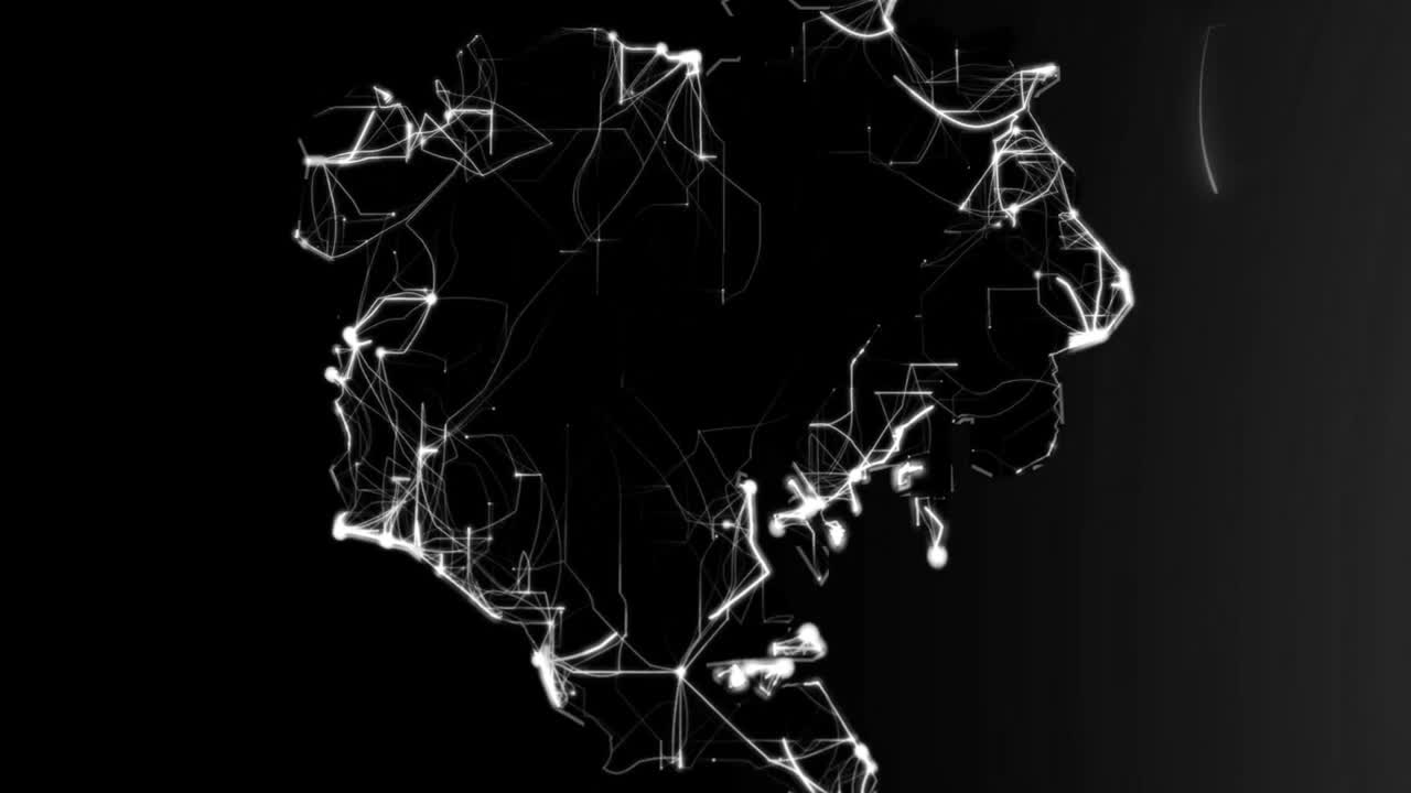 Abstract Digital Neural Network Connections