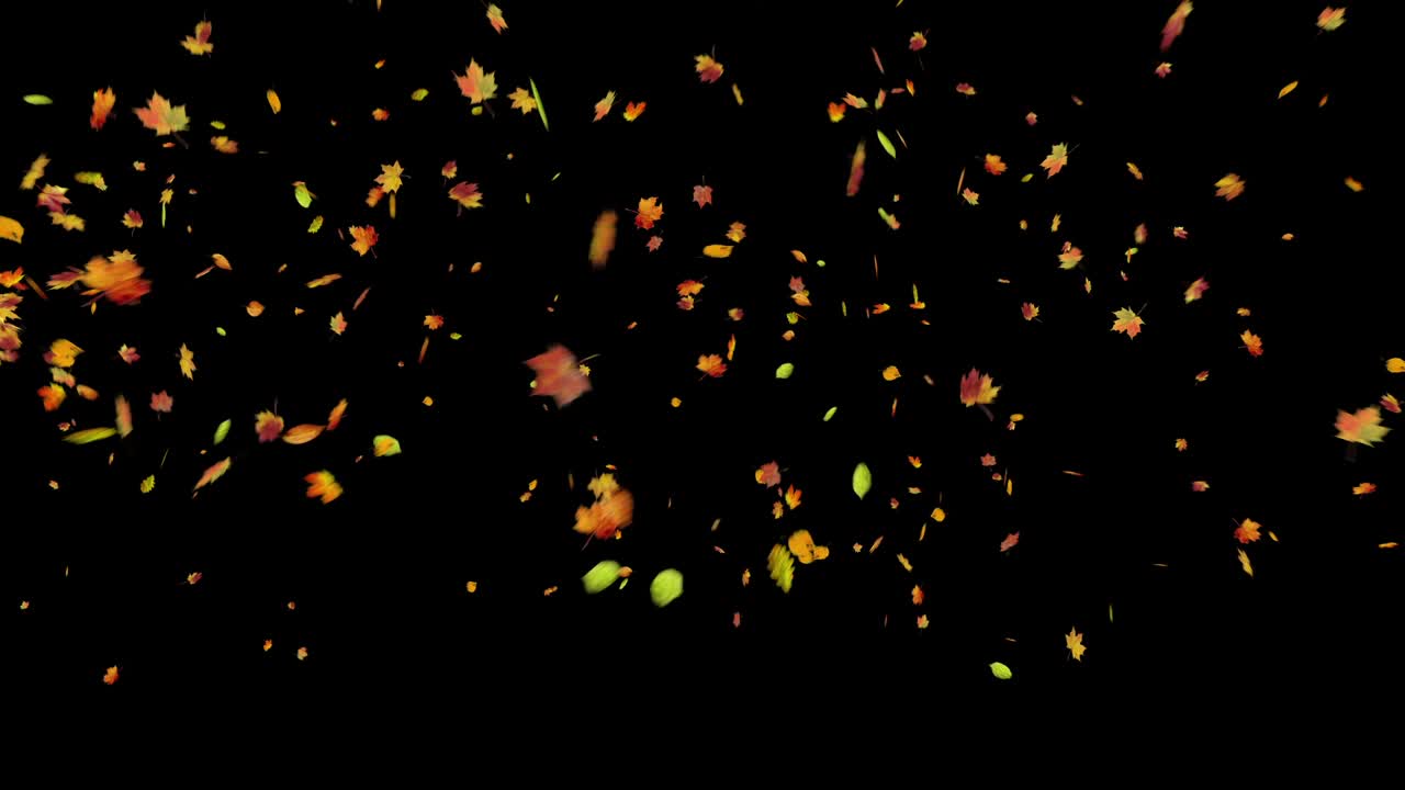 A flurry of colorful autumn leaves blows across the screen from right to left. Seamless loop with alpha channel for overlay on any background. Seasonal, nature, or transition element