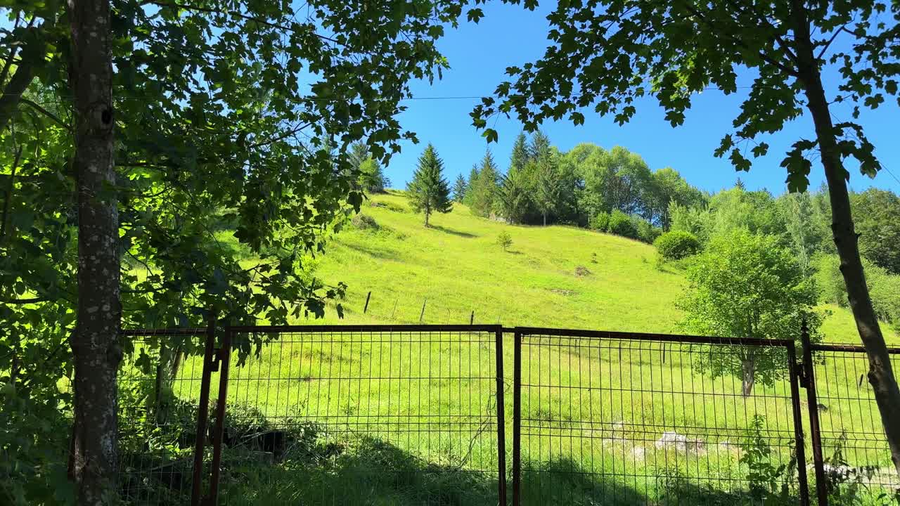 Colline verdi e foresta in estate, paesaggio naturale della campagna rumena.