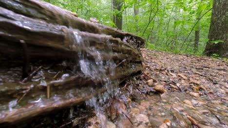 Dampf-Rieselt-Den-Hang-Hinunter-In-Den-Blue-Ridge-Mountains-Am-Blue-Ridge-Parkway