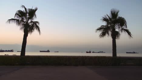 Gente-Turística-Del-Bulevar-De-Palmeras-Caminando-Al-Amanecer-Mientras-Los-Barcos-Flotan-En-La-Costa-De-La-Mañana