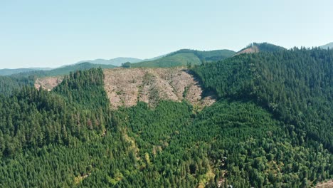 a drone aerial of oregon forests in the north west of the usa