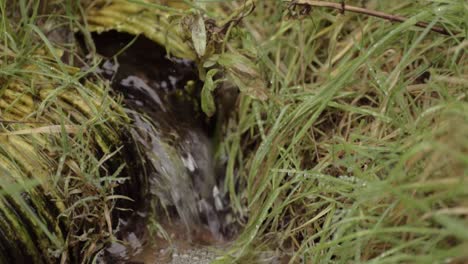 tuberías perforadas de drenaje terrestre dañadas y en mal estado