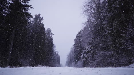 Snow-falling-in-slow-motion-on-an-empty-road-near-a-forest-in-Riga,-Latvia