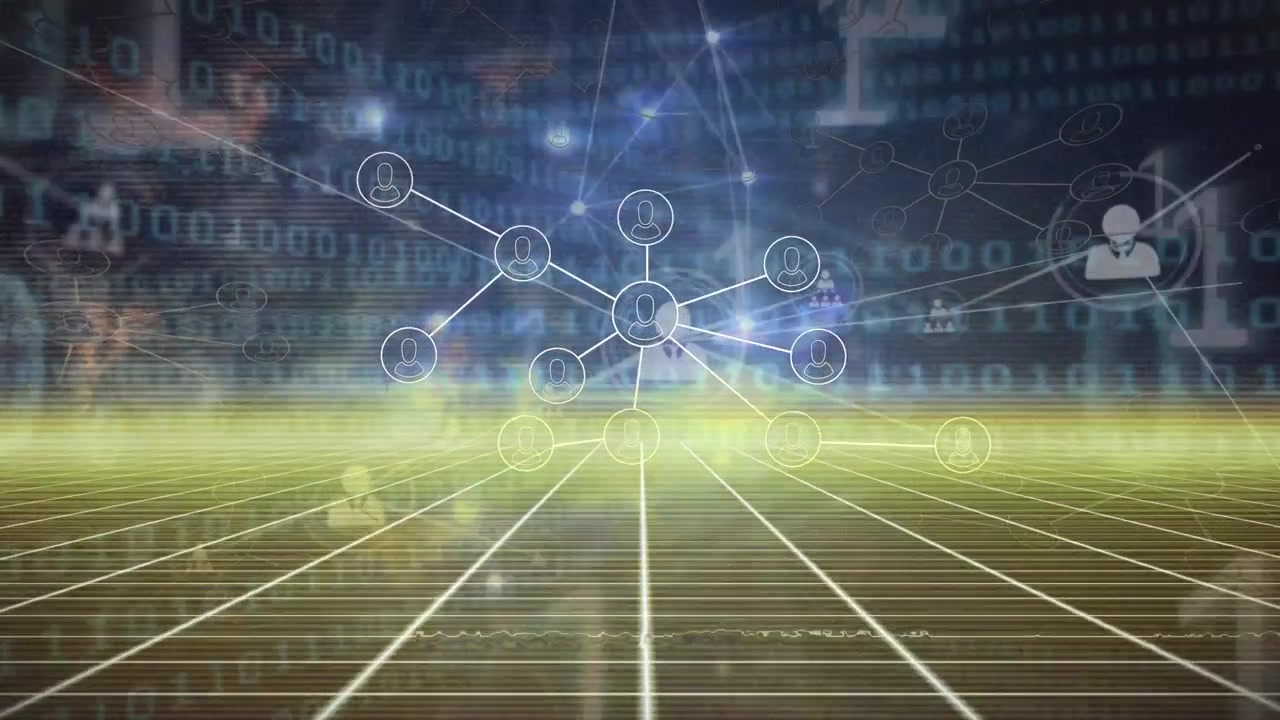 Digital Network Connection and Data Flow Visualization