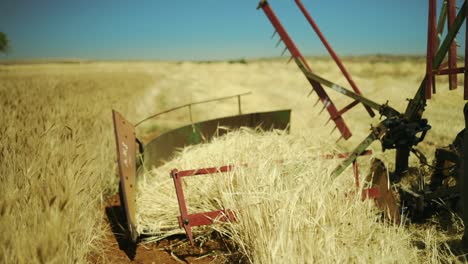 máquinas agrícolas que trabajan en tierras de cultivo durante la cosecha