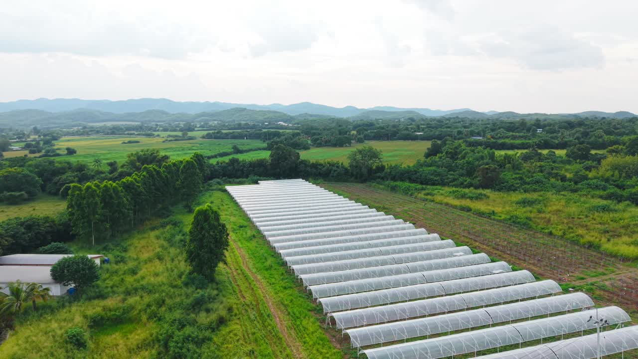 온실 농장 의 공중 사진