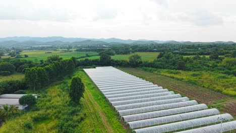 aerial view of a greenhouse farm