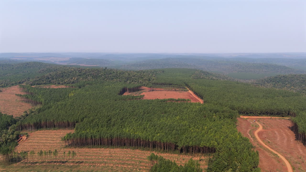High altitude aerial view about large expanse of cultivated agricultural fields bordered by green forested areas, Argentina.