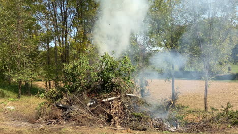 Ein-Kleiner-Haufen-Rauchender-Bürsten,-Die-Kurz-Davor-Waren,-In-Flammen-Aufzugehen