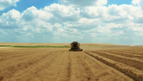 Aerial-View-of-Harvester-Mower-Mechanism-Cuts-Wheat-Spikelets