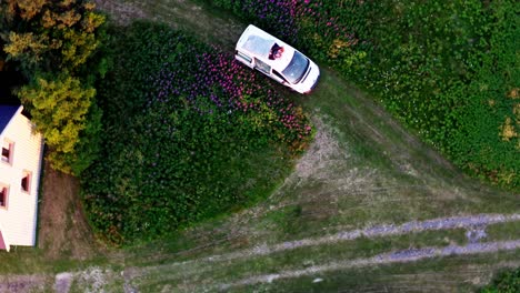 top view of romantic couple relaxing on the roof of a camper van in a floral park