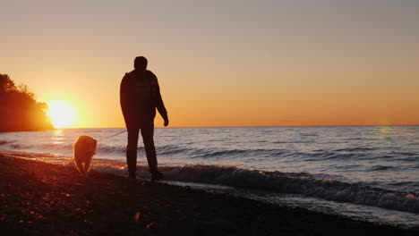 Mann-Geht-Bei-Sonnenuntergang-Mit-Dem-Hund-Am-Strand-Spazieren