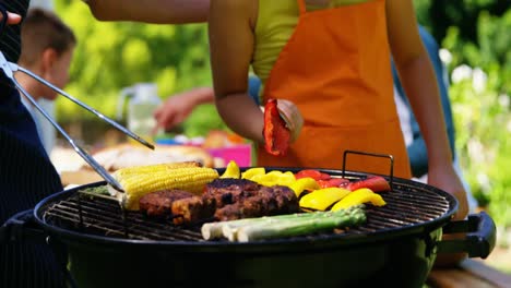 Mother-and-daughter-grilling-meat-and-vegetables-on-barbecue