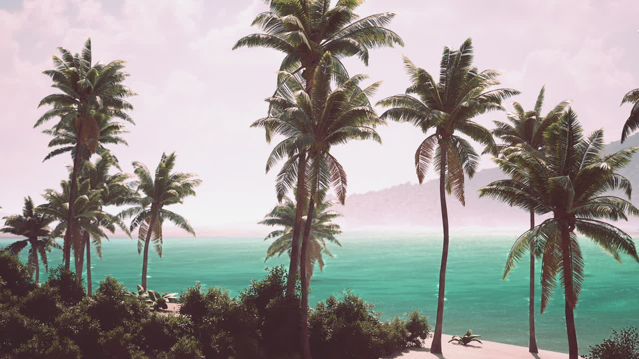 Tranquil beach landscape with palm trees and turquoise waters in the bahamas