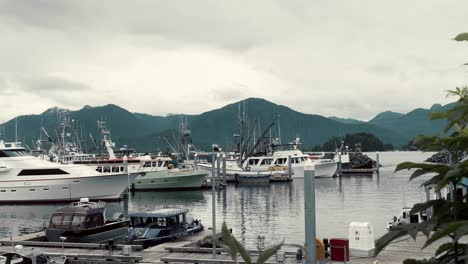 boat or yacht harbor at sitka, alaska