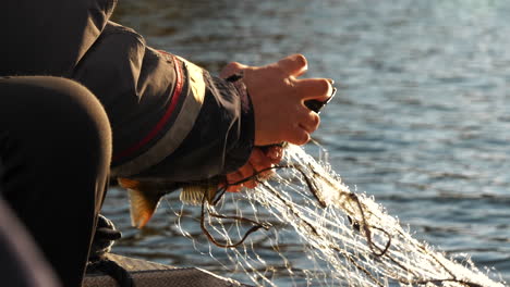 pescador está sacando pescado de la red de pesca con luz solar retroiluminada