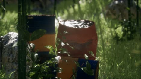 Rusty-barrels-in-green-forest