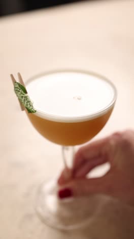 elegant cocktail with mint garnish