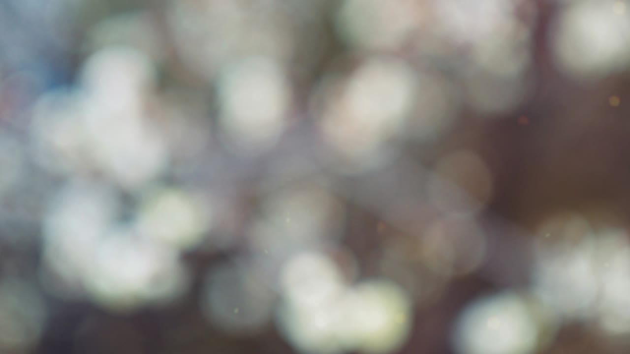 fondo de resorte abstracto con bokeh