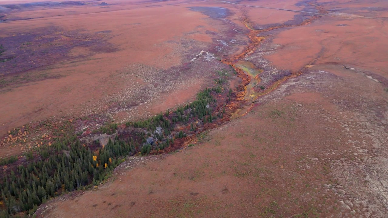 Vasta natura selvaggia in autunno a Wright Pass, Yukon, Canada - Ripresa aerea