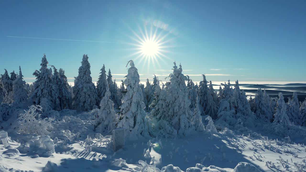 coniferous trees covered in snow with the sun above them with electric supply connection in front, truck right