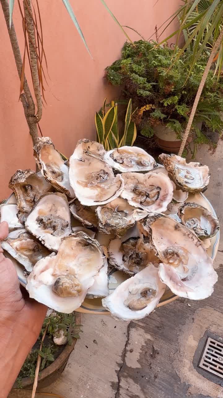 Fresh oysters served on plate, vertical establisher