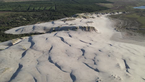 Vista-Aérea-De-Un-Impresionante-Paisaje-De-Dunas-De-Arena-En-El-Norte-De-Dinamarca,-Se-Puede-Ver-Algo-De-Bosque-Al-Fondo,-Råbjerg-Mile