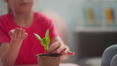 la niña pone brote de planta verde en una olla de papel en la mesa