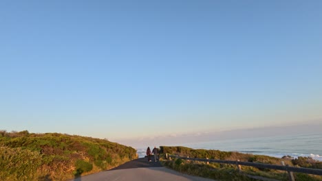 people walking along a scenic coastal path