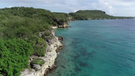 drone volando sobre la costa con cactus y plantas con agua clara del océano