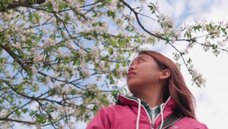 asian woman in pink looks up at tree blossoms on a bright windy day