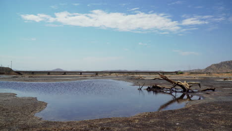 A-dead-wooden-tree-log-has-fallen-near-a-small-lake-in-Zorritos,-Tumbes,-Peru,-and-cars-passing-by-in-the-distance