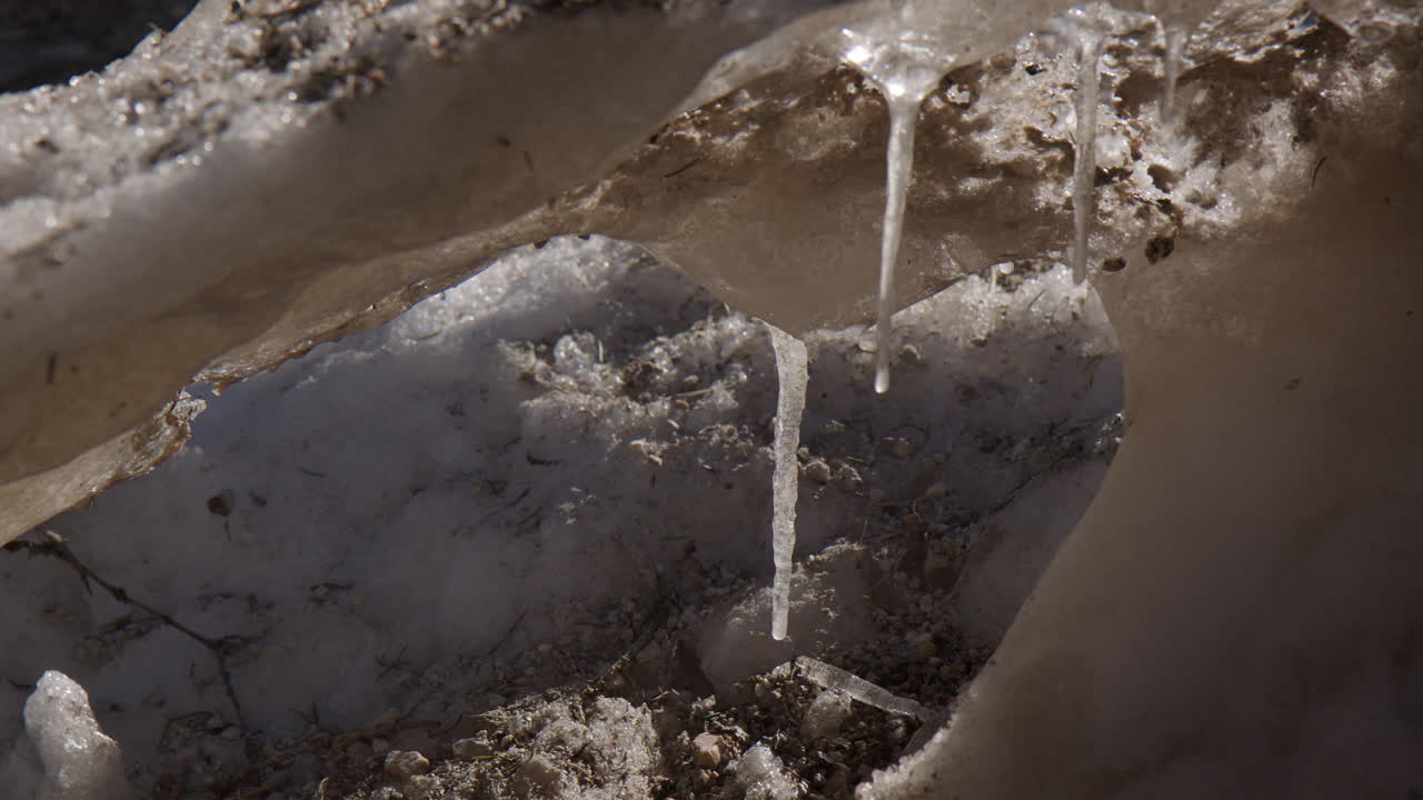 Ice Melting From Icicles. Close Up