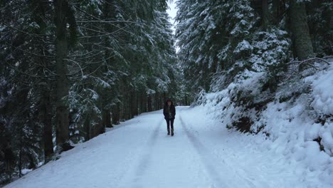 A-young-woman-walks-towards-the-camera-on-a-dark,-ominous-snow-covered-path-in-the-Vosges-Forest