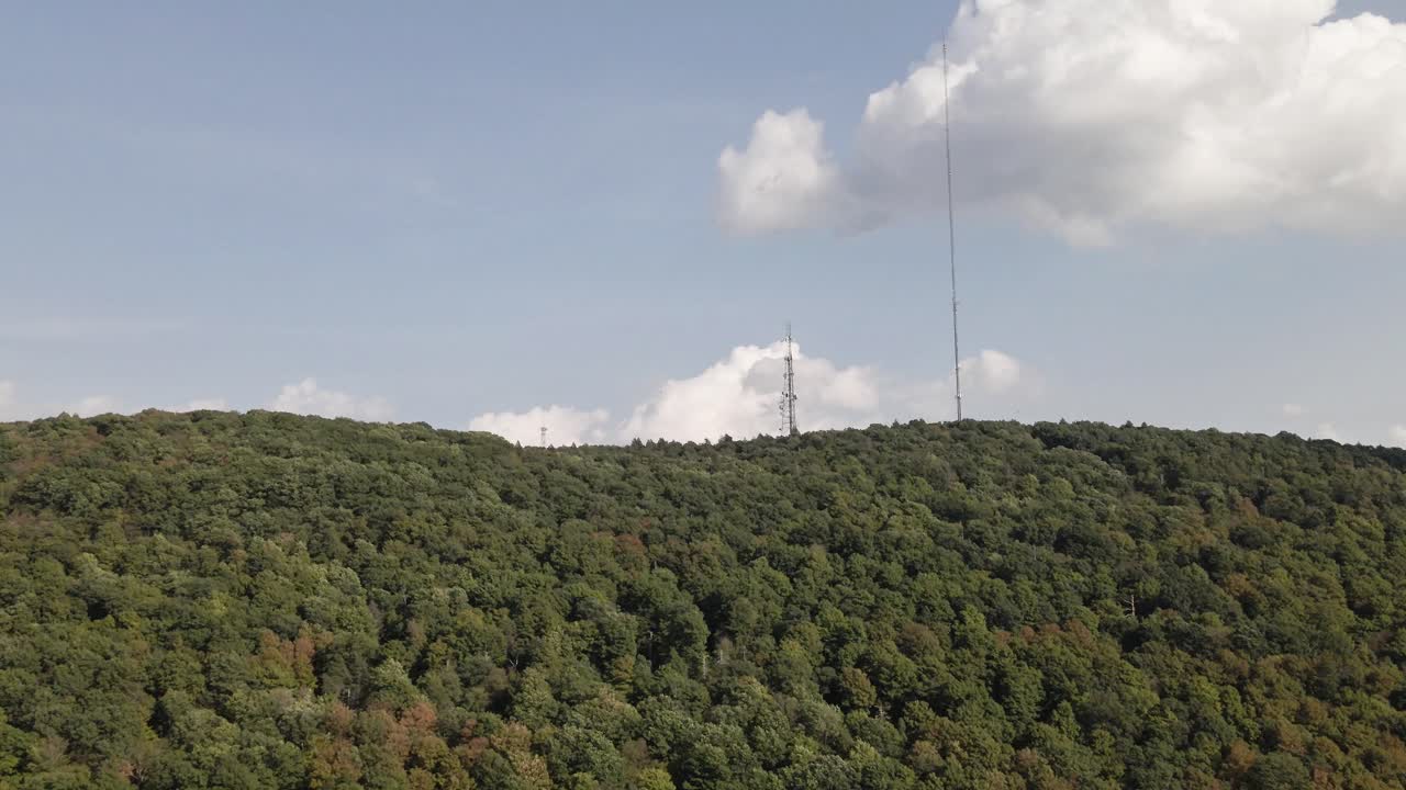 하이랜드 뉴욕 의 과수원 에 있는 나무 들 위 의 공중 사진