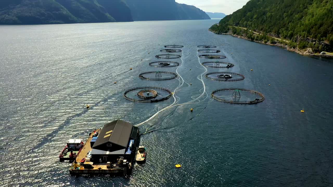 노르웨이에서 연어  ⁇ 시를 하는 공중 촬영