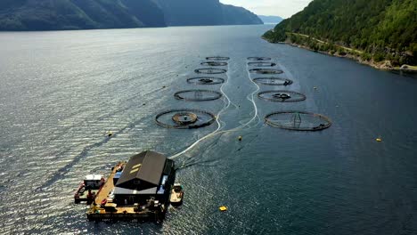 imágenes aéreas de granjas de pesca de salmón en noruega