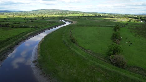 Amplia-Toma-Aérea-De-Vacas-Pastando-En-Campos-Verdes-Cerca-Del-Río-Ralty,-Irlanda