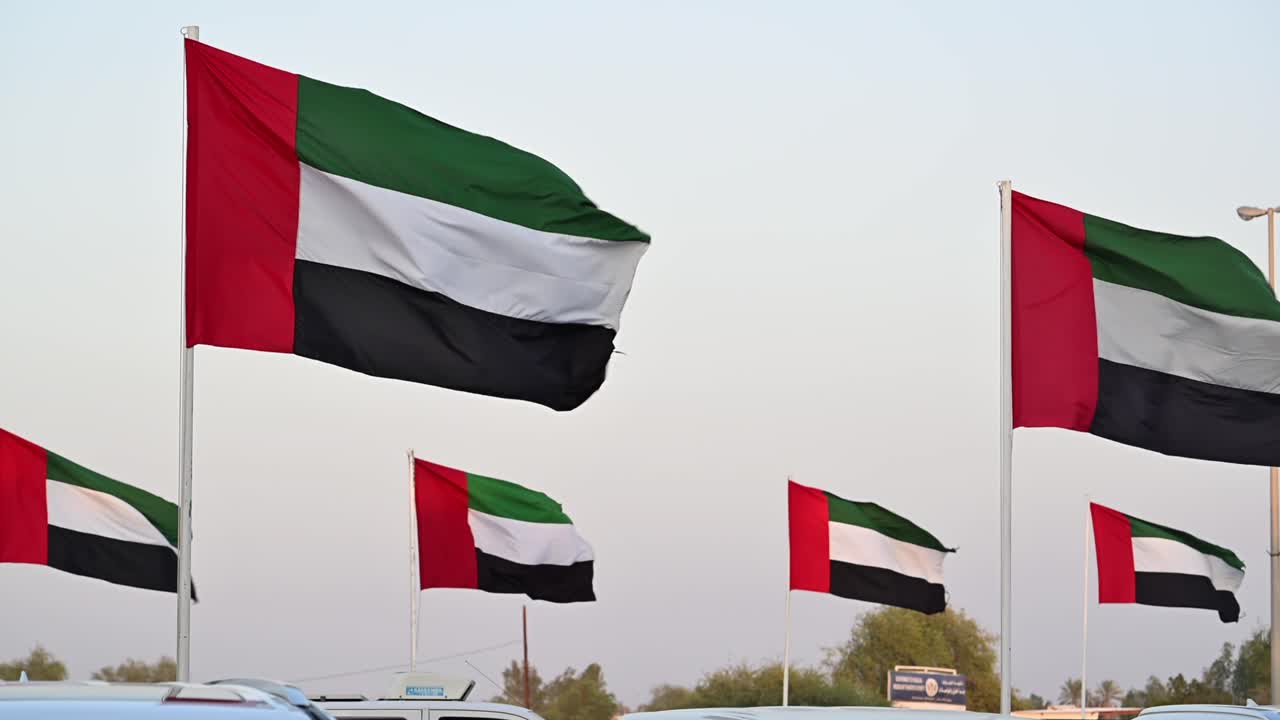 Many UAE Flags Waving in the Wind