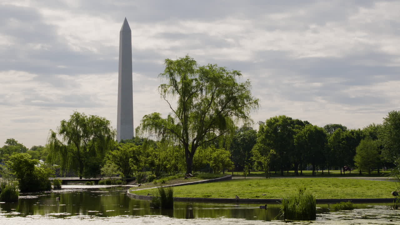 Vista laterale dell'Obelisco del Monumento a Washington dal National Mall Park, USA.
