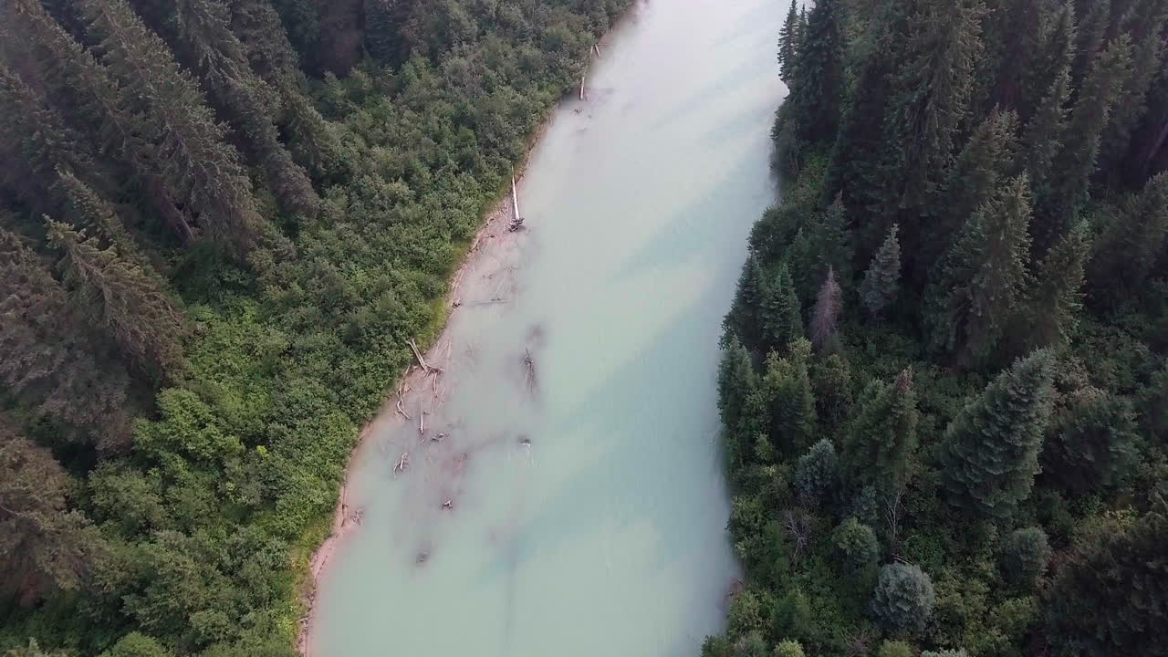 Drönarfilm som tittar ner på en glaciärflod som rinner genom en skog i 4K