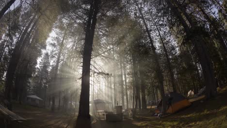 Zeitraffer-Von-Leuten,-Die-In-Einem-Nebligen-Wald-Campen