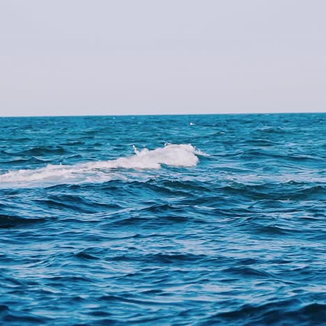 waves of sea water